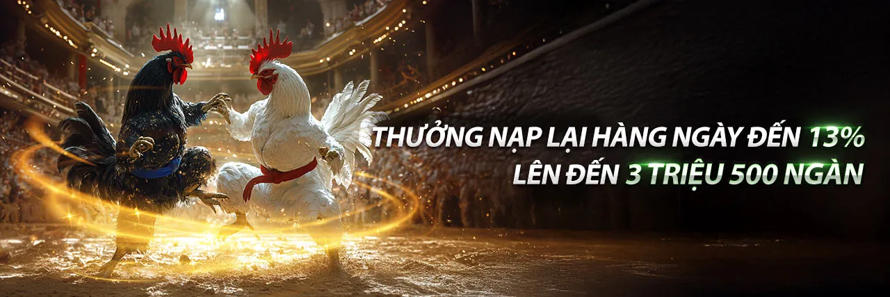 Đá gà trực tuyến 79kin